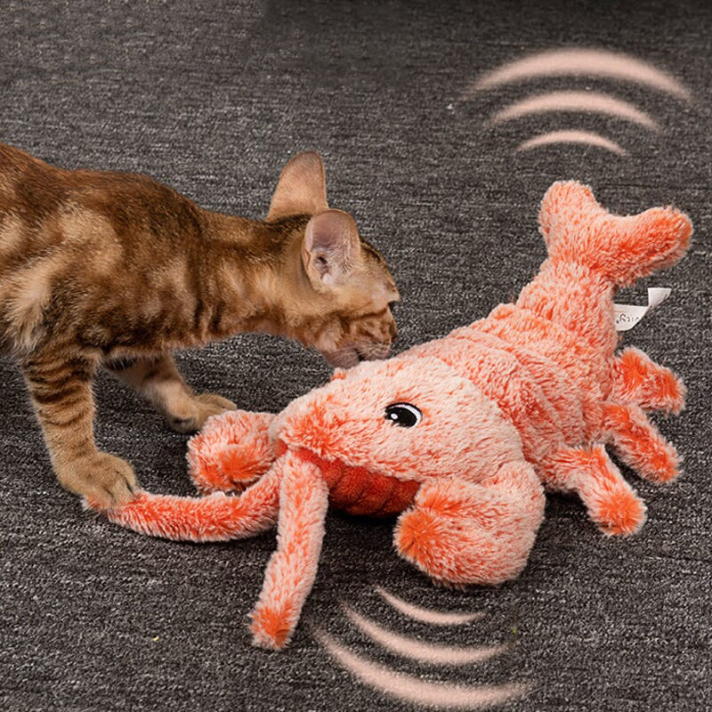 Interactive Cat And Dog Toy