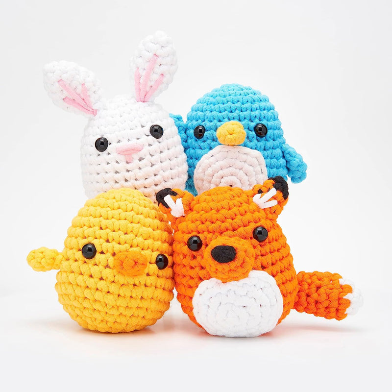 Crochet Beginners Kits