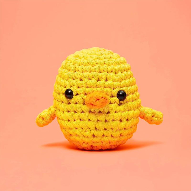 Crochet Beginners Kits