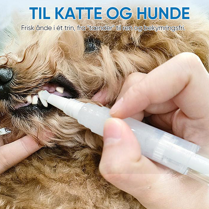 New Upgraded Pet Toothbrush Pen