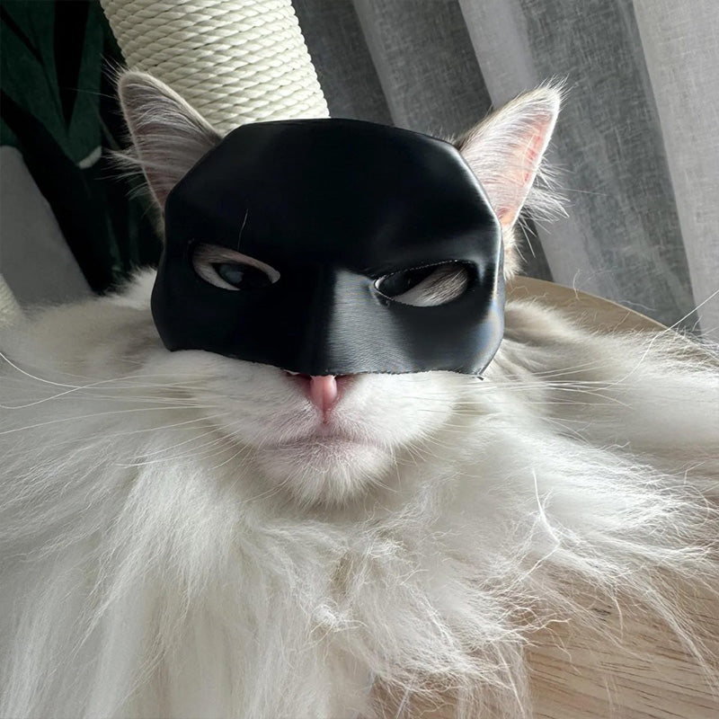 Batman kattemaske