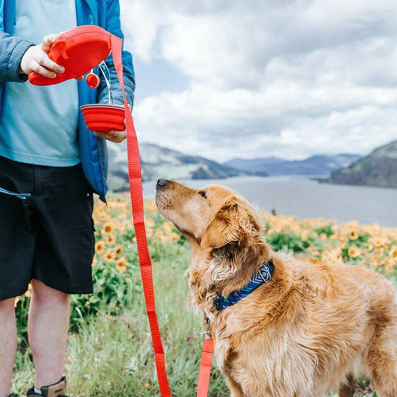 4 i 1 optrækkelig hundesnor