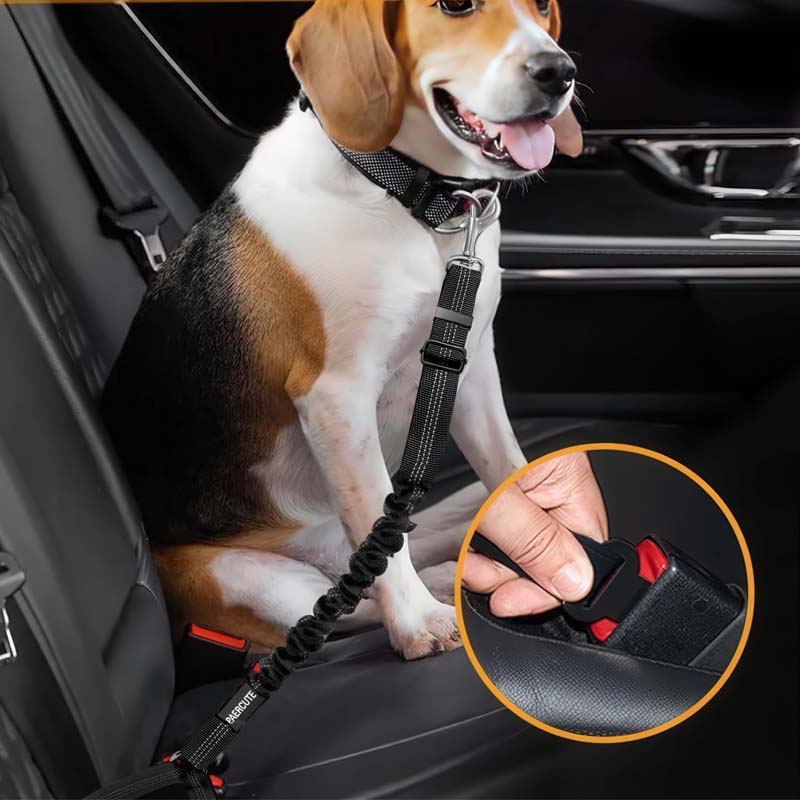 Pet Car Safety Belt Leash