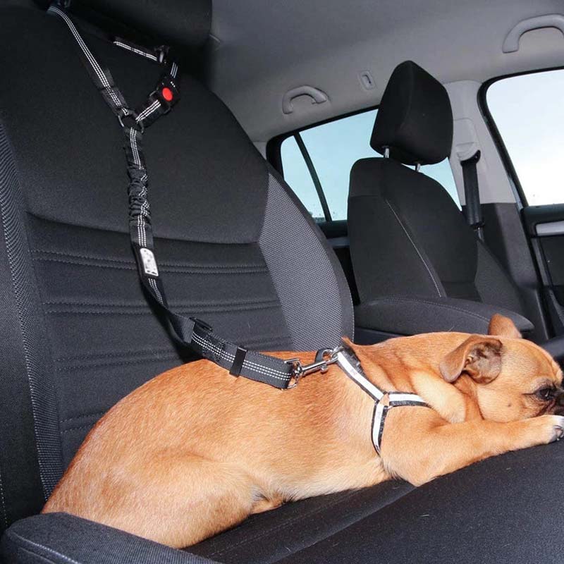 Pet Car Safety Belt Leash