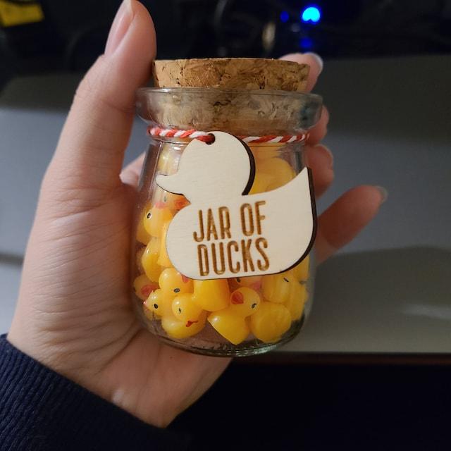 Ænder i en krukke - Give A Duck