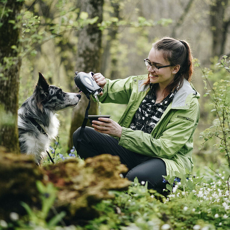 4 i 1 optrækkelig hundesnor