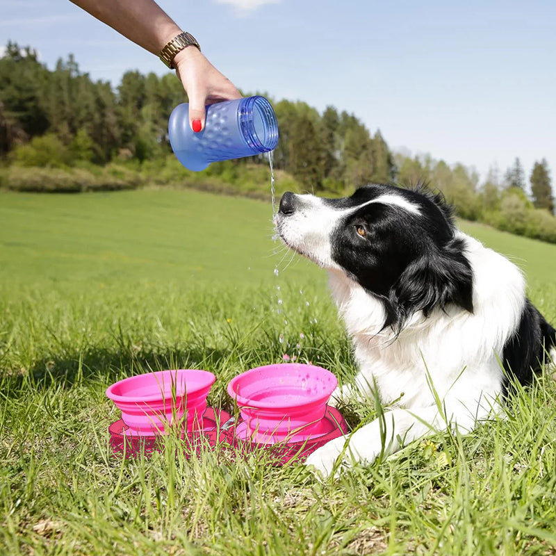 Silikone fodringsskål til kæledyr i rejsestørrelse