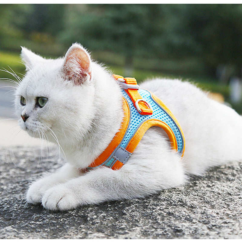 Pet Chest Harness