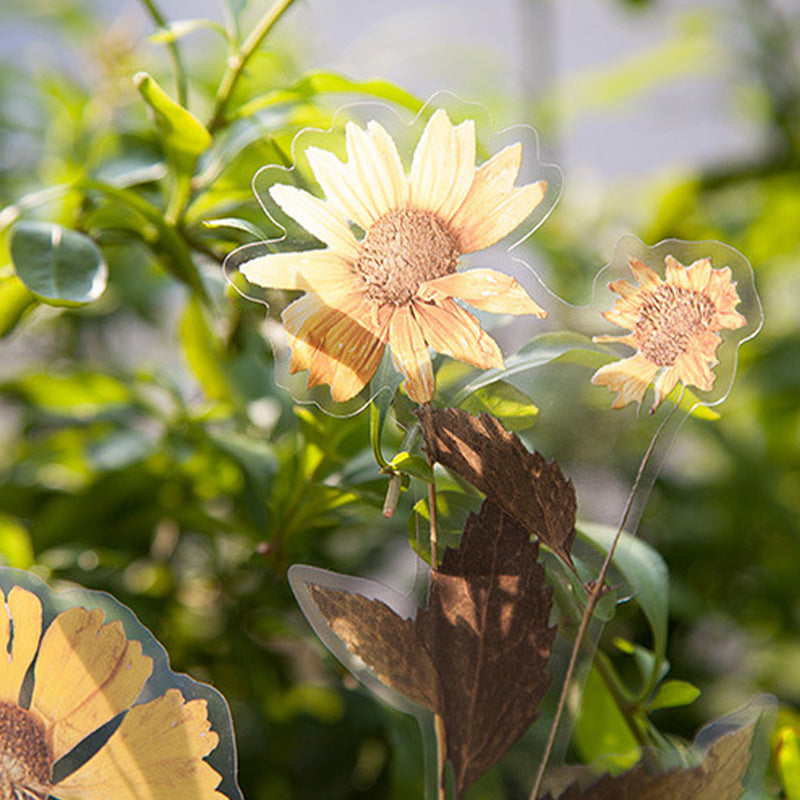 Klistermærkesæt med tørrede blomster