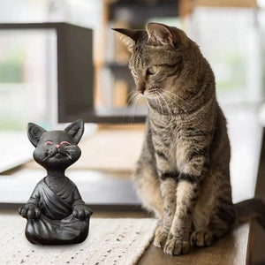 Buddha kat