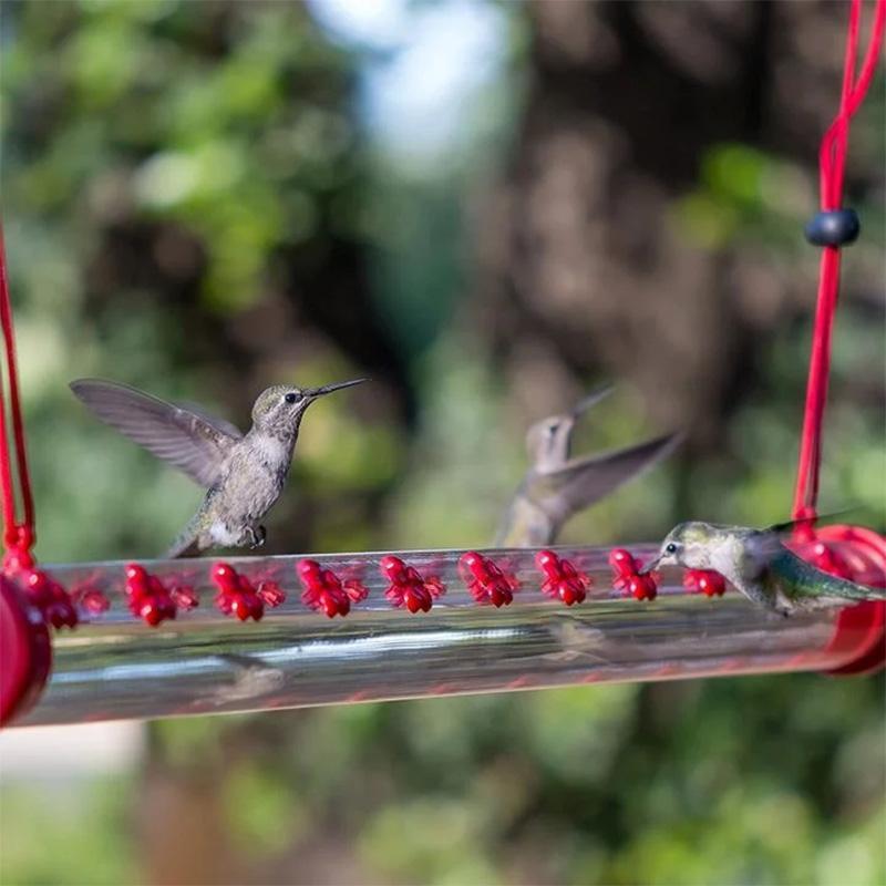 Hængende kolibri foderautomat