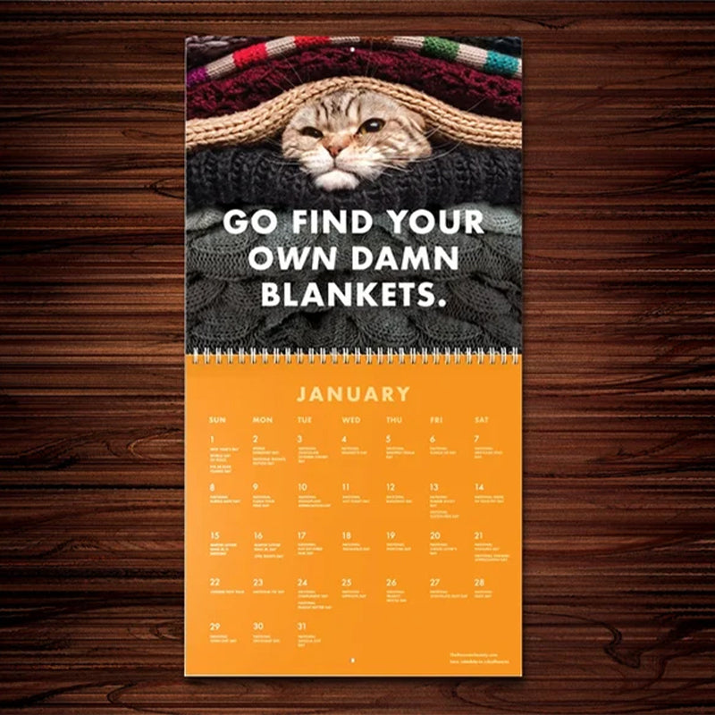 😾2024 Kalender med sure katte