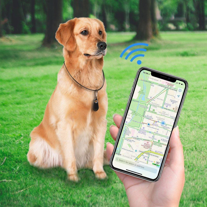 Kæledyr GPS-tracker og aktivitets monitor hunde og katte
