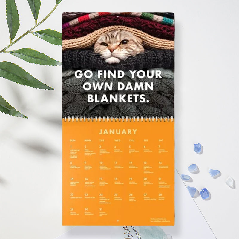 😾2024 Kalender med sure katte
