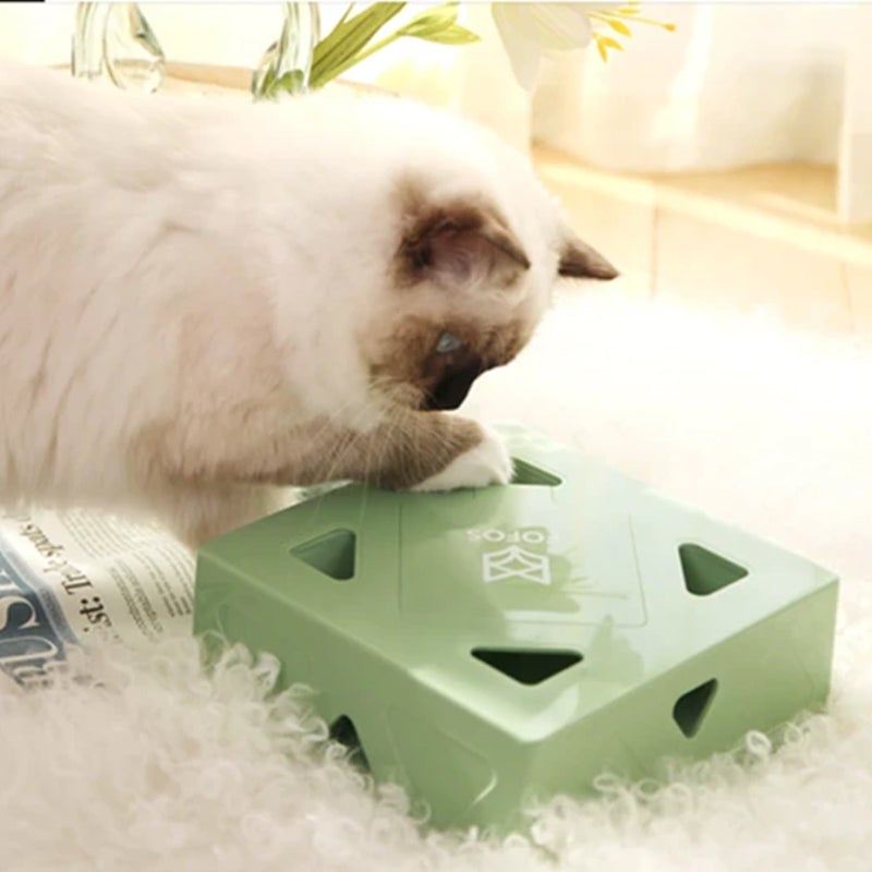 Elektrisk Funbox til katte